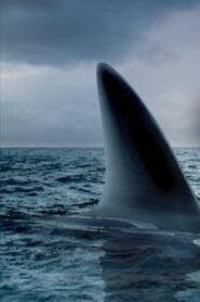 Ocean of Fear 2007 on netflix