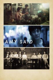 Amy Said 2017 on netflix