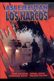 Así ejecutan los narcos 1999 on netflix