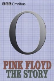 Pink Floyd: The Story 1994 on netflix