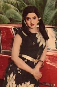 Sriranga Neethulu 1983 on netflix