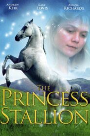 The Princess Stallion 1997 on netflix