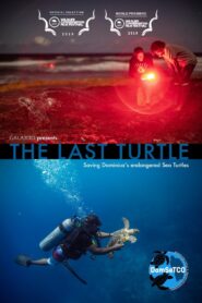 The Last Turtle 2019 on netflix