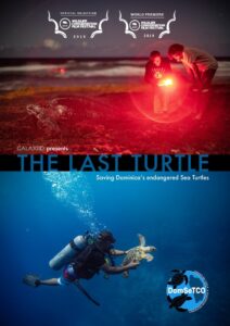 The Last Turtle 2019 on netflix