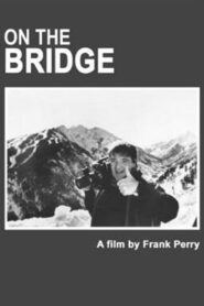 On The Bridge 1993 on netflix