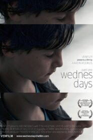 Wednesdays 2011 on netflix