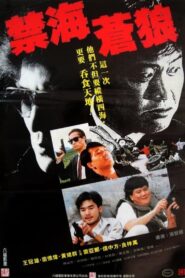 The Killer from China 1991 on netflix