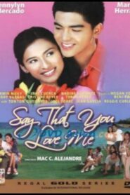 Say That You Love Me 2005 on netflix