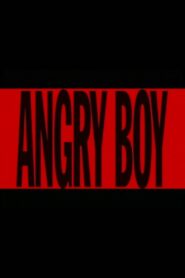 Angry Boy 1997 on netflix