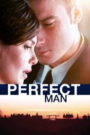 A Perfect Man 2013 on netflix