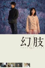 Phantom Limb 2014 on netflix