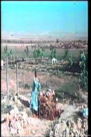The Well 1982 on netflix