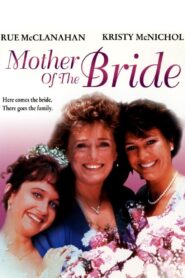 Mother of the Bride 1993 on netflix