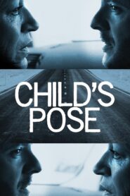 Child’s Pose 2013 on netflix
