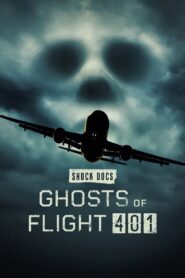 Ghosts of Flight 401 2022 on netflix