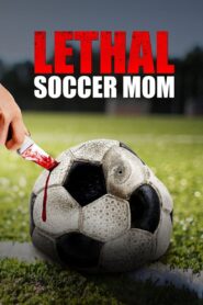Sidelined 2018 on netflix