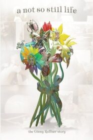 A Not So Still Life 2010 on netflix