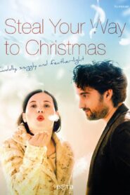 Steal Your Way to Christmas 2014 on netflix