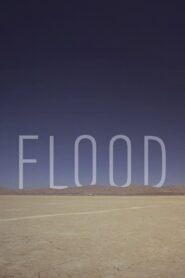 Flood 2012 on netflix