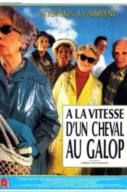 À la vitesse d’un cheval au galop 1992 on netflix