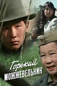Bitter Juniper 1986 on netflix