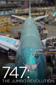 747: The Jumbo Revolution 2014 on netflix