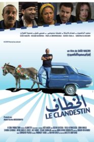 the clandestine 2010 on netflix