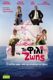 Kiss Of Life 2007 on netflix