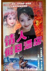 情人假日酒店 2000 on netflix