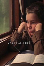 My Life as a Dog 1985 on netflix