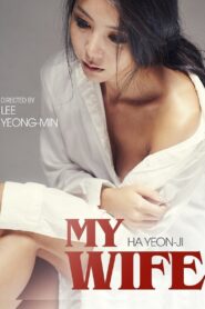 My Wife 2015 on netflix