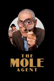 The Mole Agent 2020 on netflix