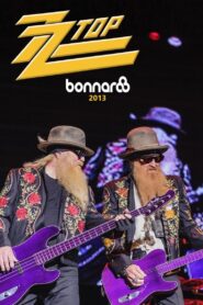 ZZ Top: Live at Bonnaroo 2013 2013 on netflix