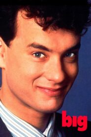 Big 1988 on netflix