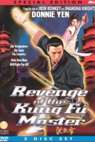 Revenge of the Kung Fu Master 1994 on netflix