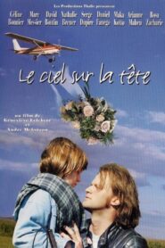 On Your Head 2001 on netflix