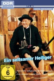 Ein seltsamer Heiliger 1995 on netflix