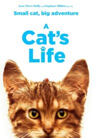 A Cat’s Life 2023 on netflix
