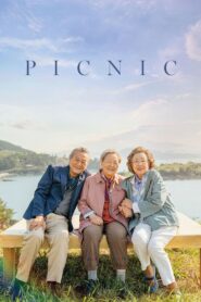 Picnic 2024 on netflix