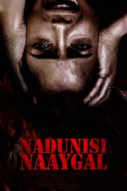 Nadunisi Naaygal 2011 on netflix