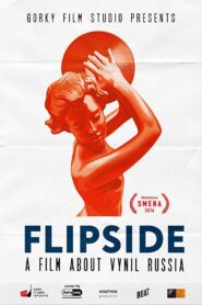 Flipside 2016 on netflix