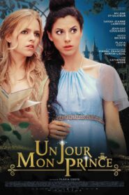 Un jour mon prince 2017 on netflix