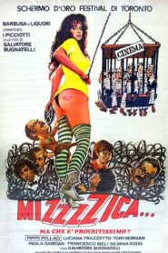 Mizzzzica… ma che è proibitissimo? 1983 on netflix