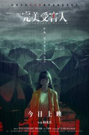 The Perfect Victim 2021 on netflix