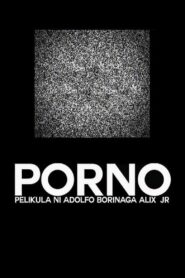 Porno 2013 on netflix