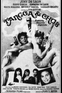 Tangga and Chos: Beauty Secret Agents 1990 on netflix