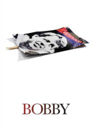 Bobby 2006 on netflix