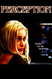 Perception 2005 on netflix