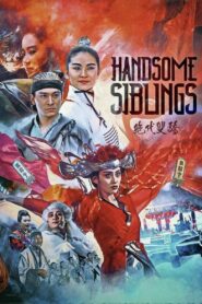 Handsome Siblings 1992 on netflix