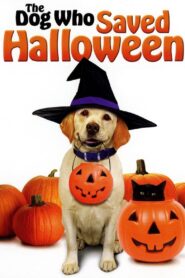 The Dog Who Saved Halloween 2011 on netflix